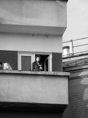 Shoot the photograph