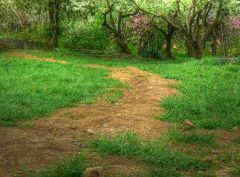 Peaceful place